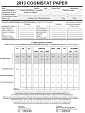 Original Cognistat Paper Test