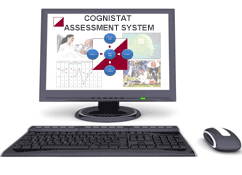Cognistat web-based assessment